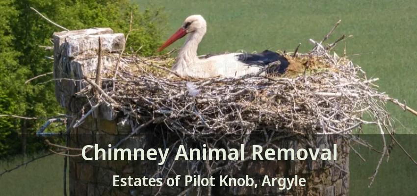 Chimney Animal Removal Estates of Pilot Knob, Argyle - TX