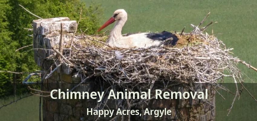 Chimney Animal Removal Happy Acres, Argyle - TX