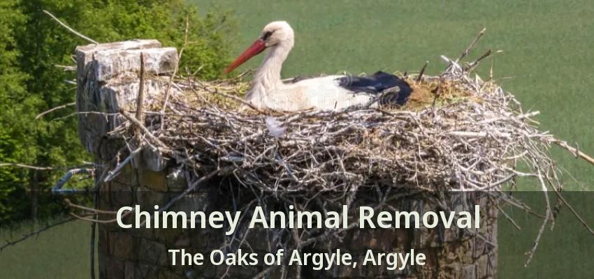 Chimney Animal Removal The Oaks of Argyle, Argyle - TX