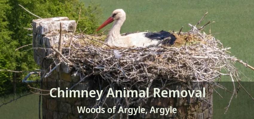 Chimney Animal Removal Woods of Argyle, Argyle - TX