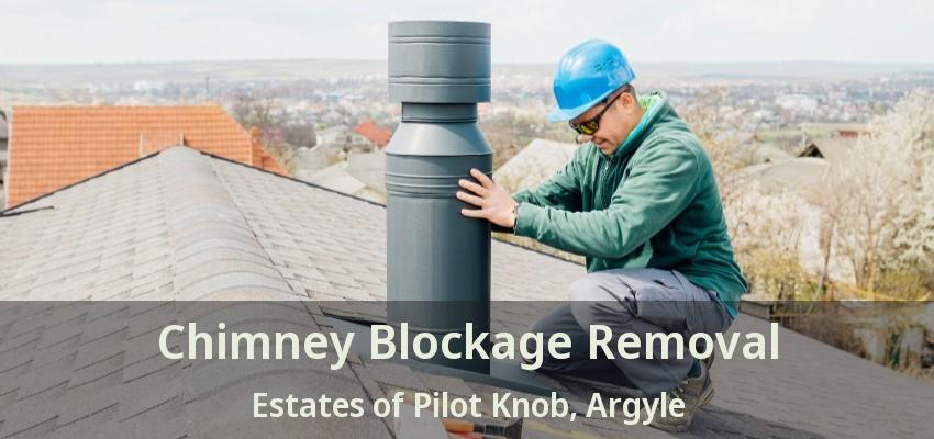 Chimney Blockage Removal Estates of Pilot Knob, Argyle - TX