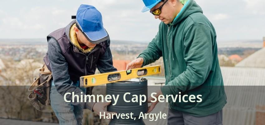 Chimney Cap Services Harvest, Argyle - TX