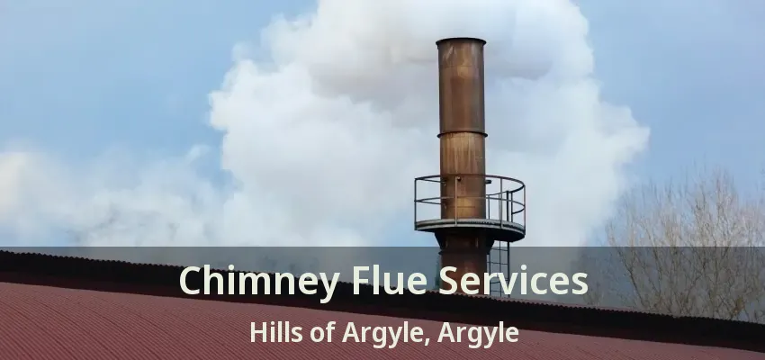 Chimney Flue Services Hills of Argyle, Argyle - TX