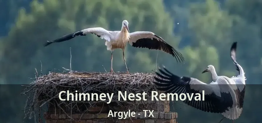 Chimney Nest Removal Argyle - TX