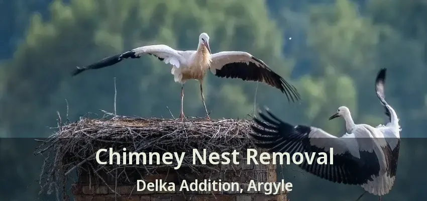 Chimney Nest Removal Delka Addition, Argyle - TX