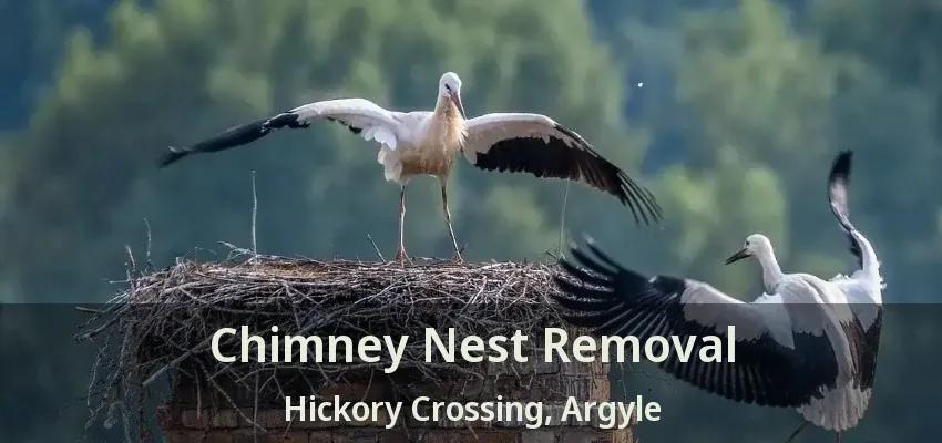 Chimney Nest Removal Hickory Crossing, Argyle - TX