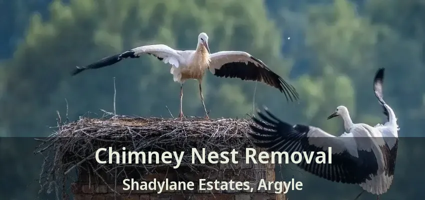 Chimney Nest Removal Shadylane Estates, Argyle - TX