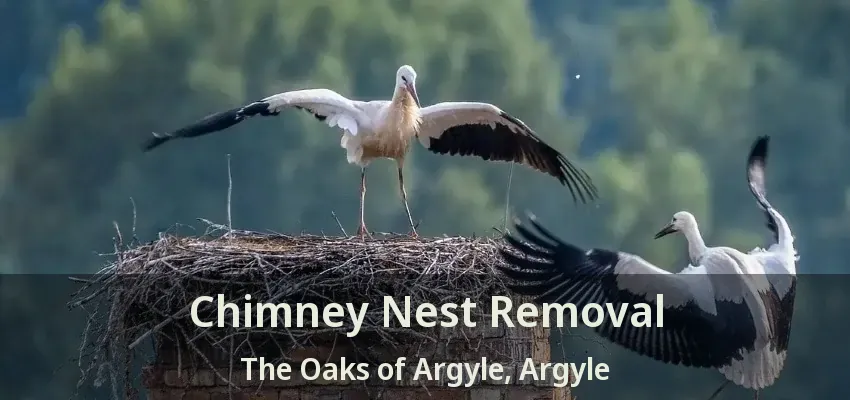 Chimney Nest Removal The Oaks of Argyle, Argyle - TX