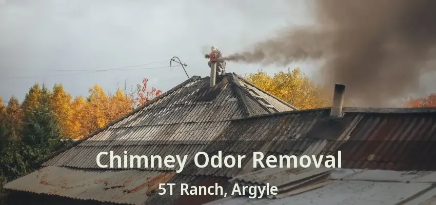 Chimney Odor Removal 5T Ranch, Argyle - TX