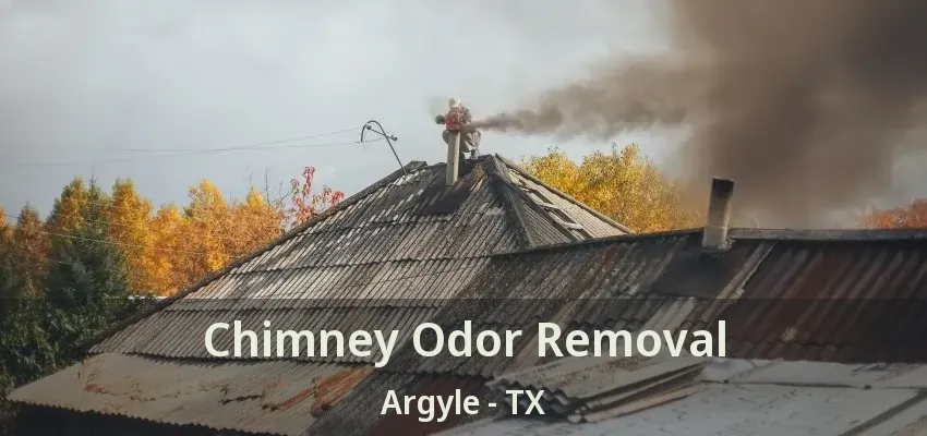 Chimney Odor Removal Argyle - TX