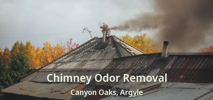 Chimney Odor Removal Canyon Oaks, Argyle - TX