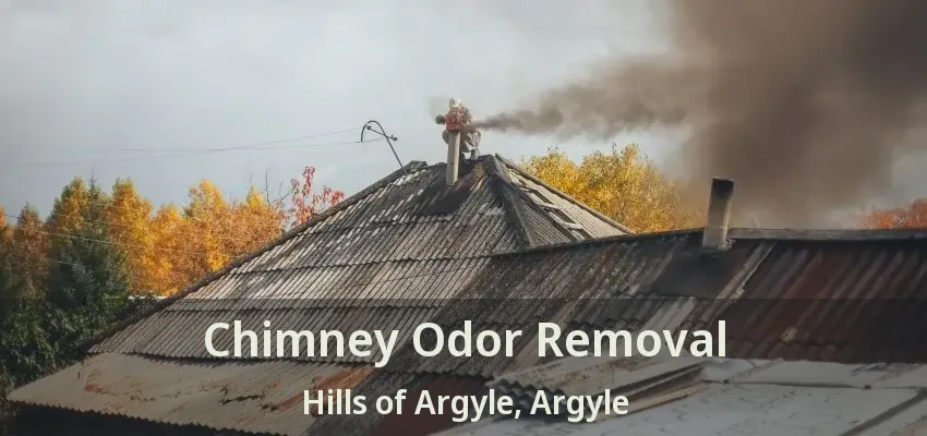 Chimney Odor Removal Hills of Argyle, Argyle - TX