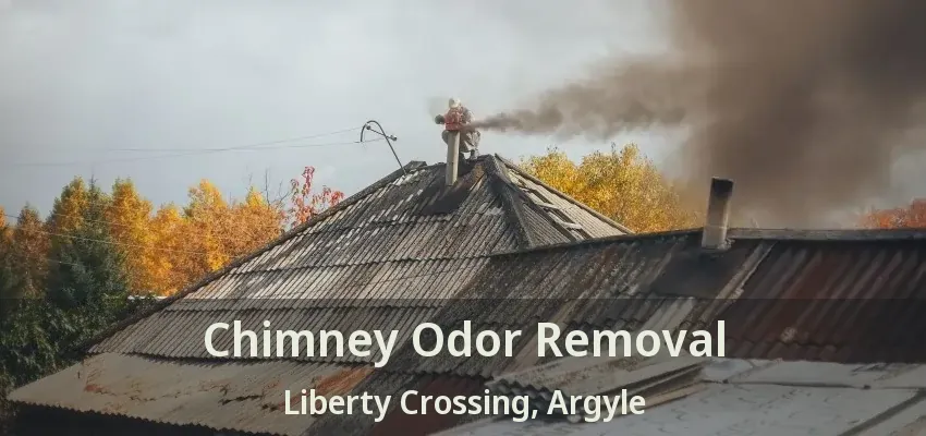 Chimney Odor Removal Liberty Crossing, Argyle - TX