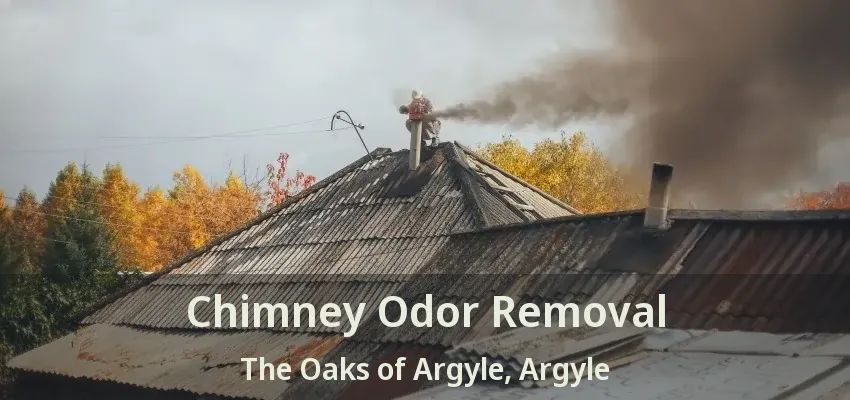 Chimney Odor Removal The Oaks of Argyle, Argyle - TX