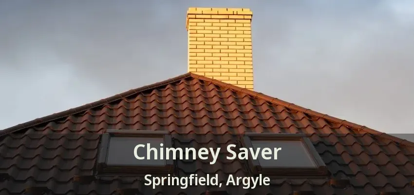 Chimney Saver Springfield, Argyle - TX