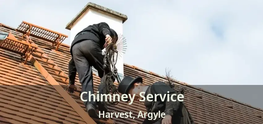 Chimney Service Harvest, Argyle - TX