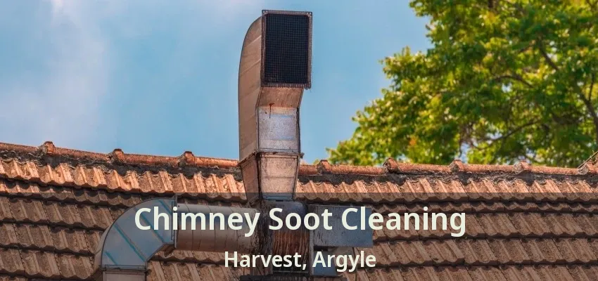 Chimney Soot Cleaning Harvest, Argyle - TX