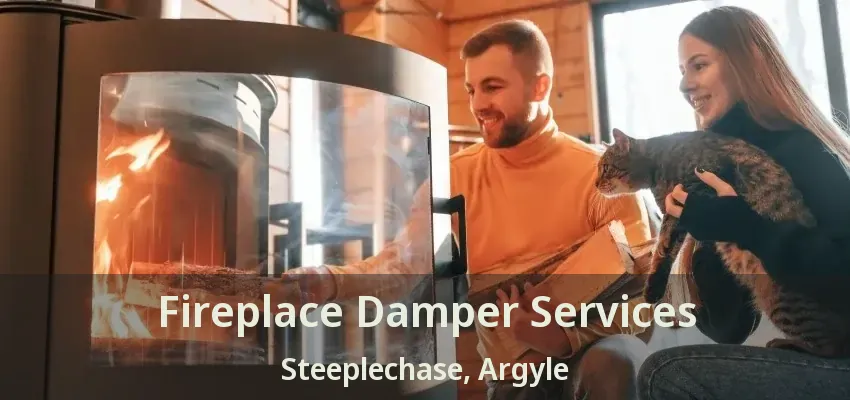 Fireplace Damper Services Steeplechase, Argyle - TX