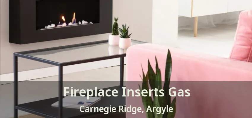 Fireplace Inserts Gas Carnegie Ridge, Argyle - TX