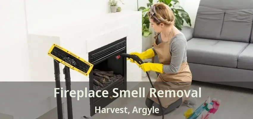 Fireplace Smell Removal Harvest, Argyle - TX