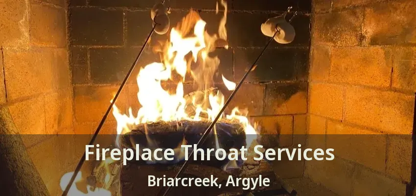 Fireplace Throat Services Briarcreek, Argyle - TX
