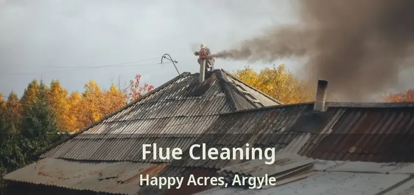 Flue Cleaning Happy Acres, Argyle - TX