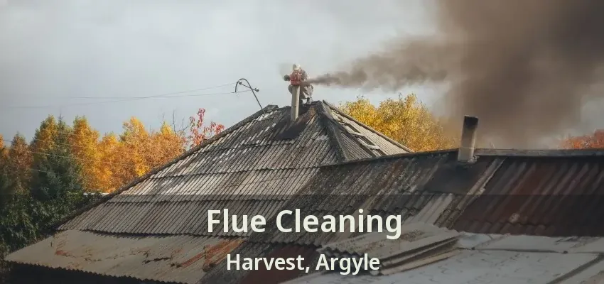 Flue Cleaning Harvest, Argyle - TX