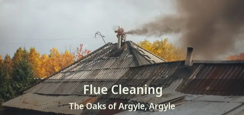 Flue Cleaning The Oaks of Argyle, Argyle - TX