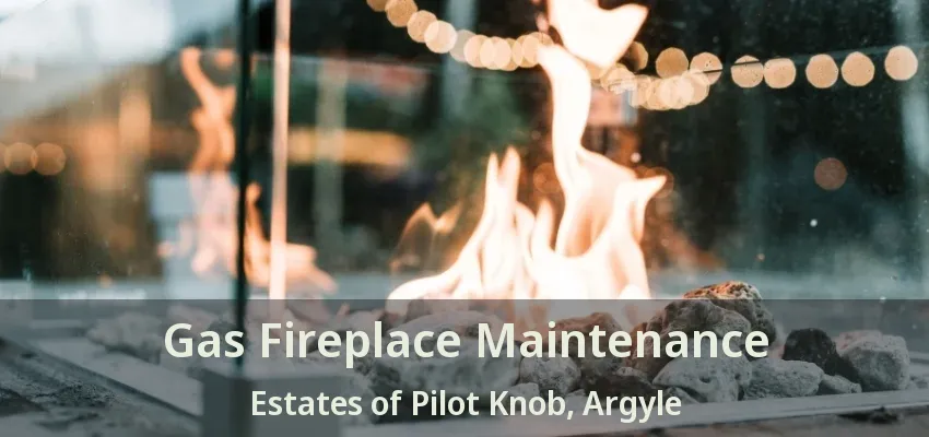 Gas Fireplace Maintenance Estates of Pilot Knob, Argyle - TX