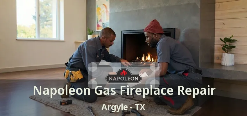 Napoleon Gas Fireplace Repair Argyle - TX