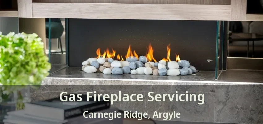 Gas Fireplace Servicing Carnegie Ridge, Argyle - TX