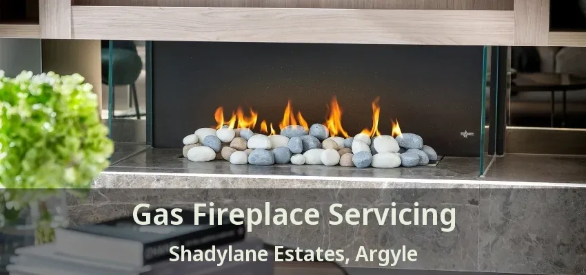 Gas Fireplace Servicing Shadylane Estates, Argyle - TX