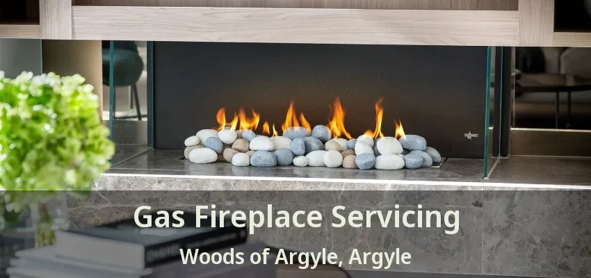 Gas Fireplace Servicing Woods of Argyle, Argyle - TX
