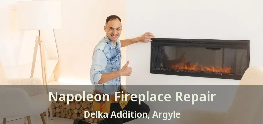 Napoleon Fireplace Repair Delka Addition, Argyle - TX