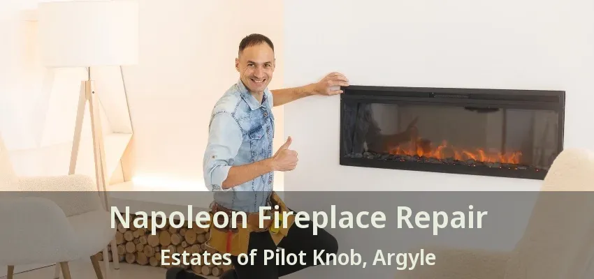 Napoleon Fireplace Repair Estates of Pilot Knob, Argyle - TX