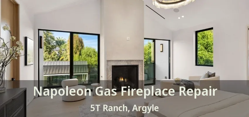 Napoleon Gas Fireplace Repair 5T Ranch, Argyle - TX