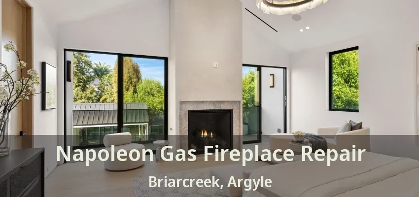Napoleon Gas Fireplace Repair Briarcreek, Argyle - TX