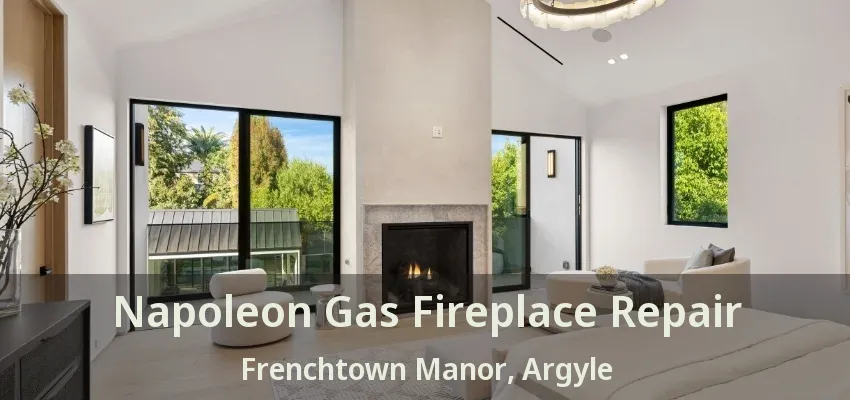 Napoleon Gas Fireplace Repair Frenchtown Manor, Argyle - TX