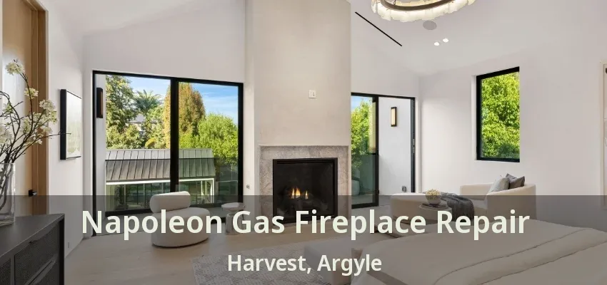 Napoleon Gas Fireplace Repair Harvest, Argyle - TX
