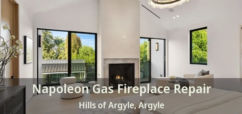 Napoleon Gas Fireplace Repair Hills of Argyle, Argyle - TX