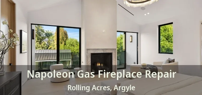 Napoleon Gas Fireplace Repair Rolling Acres, Argyle - TX