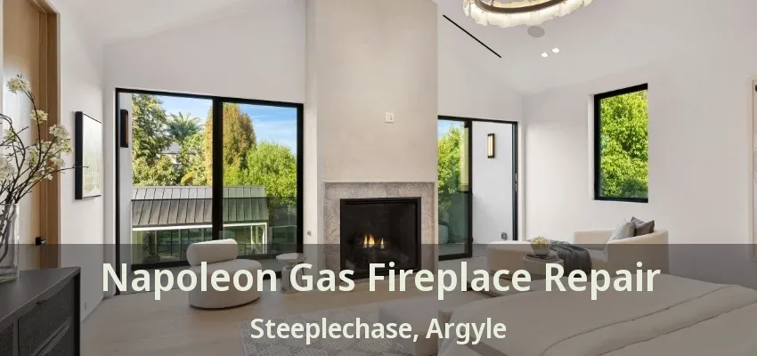 Napoleon Gas Fireplace Repair Steeplechase, Argyle - TX
