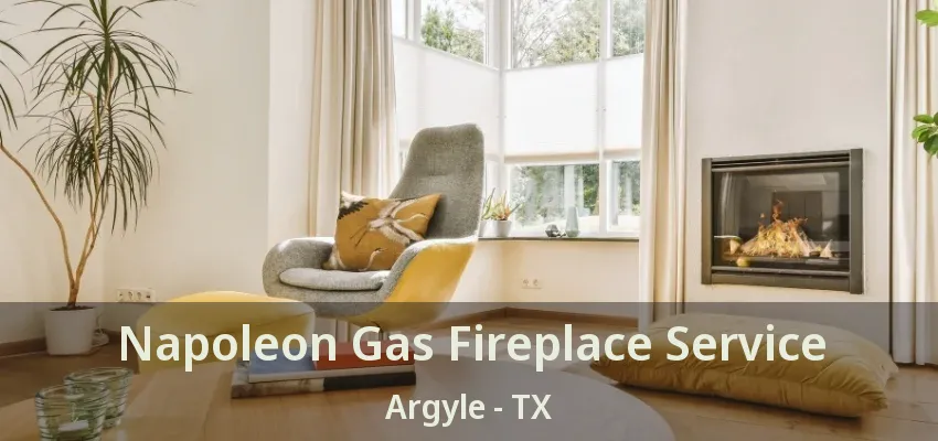 Napoleon Gas Fireplace Service Argyle - TX