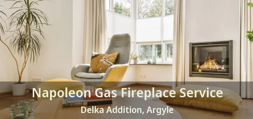 Napoleon Gas Fireplace Service Delka Addition, Argyle - TX