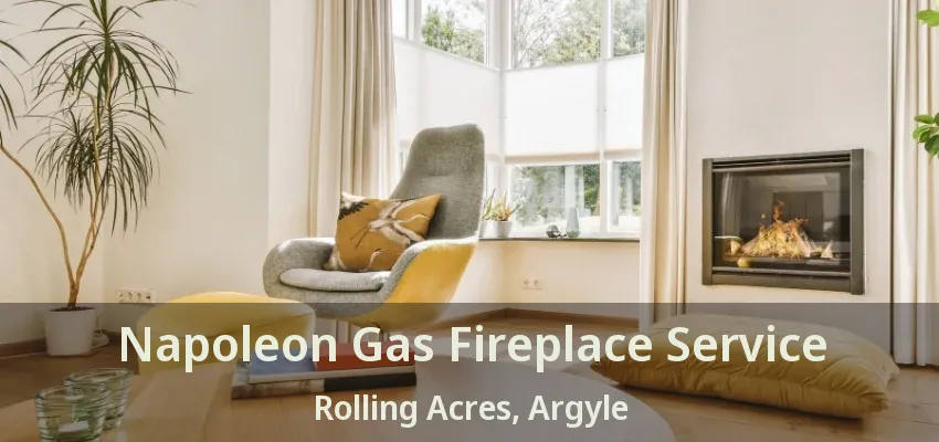 Napoleon Gas Fireplace Service Rolling Acres, Argyle - TX