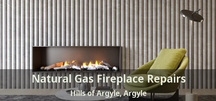 Natural Gas Fireplace Repairs Hills of Argyle, Argyle - TX