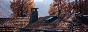 Chimney Animal Removal Argyle