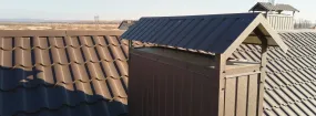 Chimney Cap Services Argyle