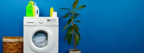 Clogged Dryer Vent Cleaning Argyle