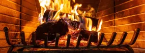 Fireplace Damper Services Argyle